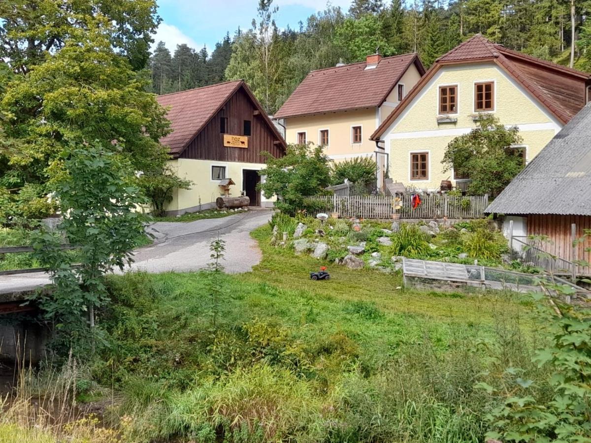 Apartment Nazbauerhof Rohr im Gebirge Exterior foto